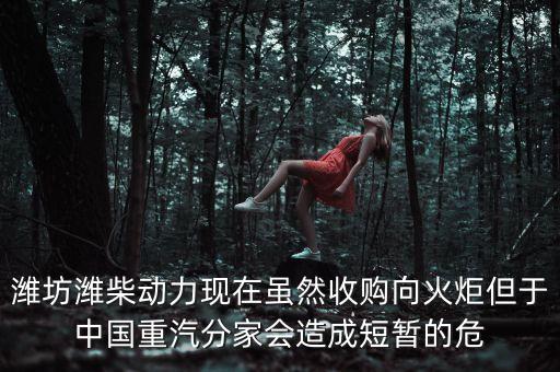 重汽為什么沒(méi)有濰柴了，中國(guó)重汽還有濰柴發(fā)動(dòng)機(jī)嗎