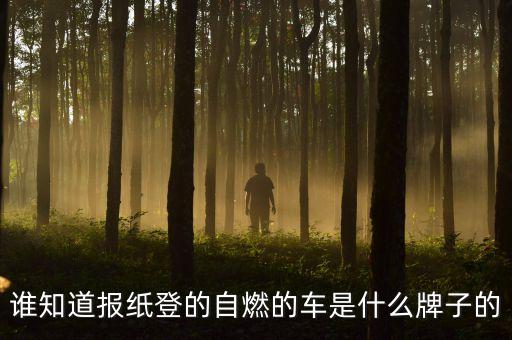 延安路轎車自燃什么牌子的車，誰知道報(bào)紙登的自燃的車是什么牌子的