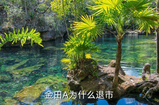 金田為什么退市，誰還記得深金田是那一年退市的