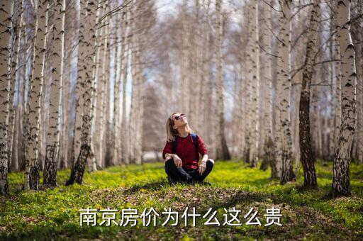 為什么南橋新城那么貴，南京房價(jià)為什么這么貴