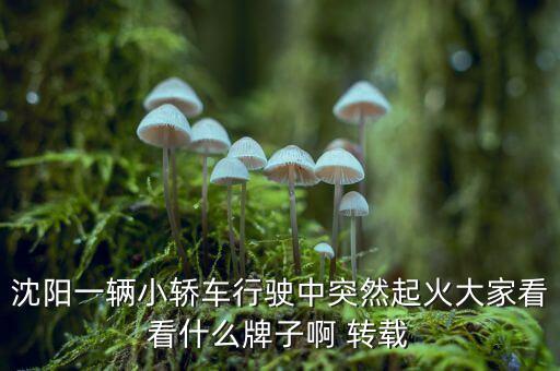 沈陽一輛小轎車行駛中突然起火大家看看什么牌子啊 轉載