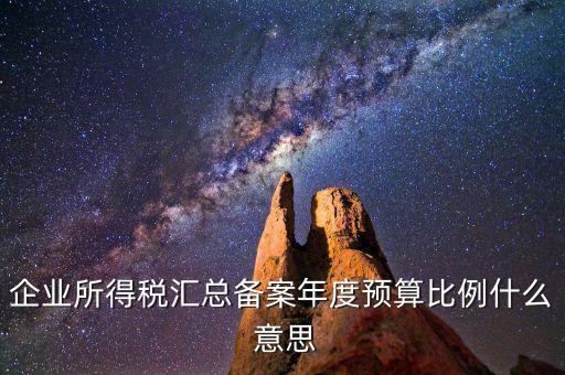 什么是財(cái)政調(diào)庫，總機(jī)構(gòu)在國(guó)稅繳納所得稅并且企業(yè)所得稅匯總分支機(jī)構(gòu)還用在地稅繳納