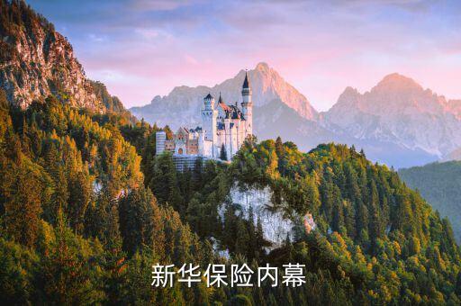 新華保險康典為什么會辭職，原新華保險董事長康典上哪兒去了