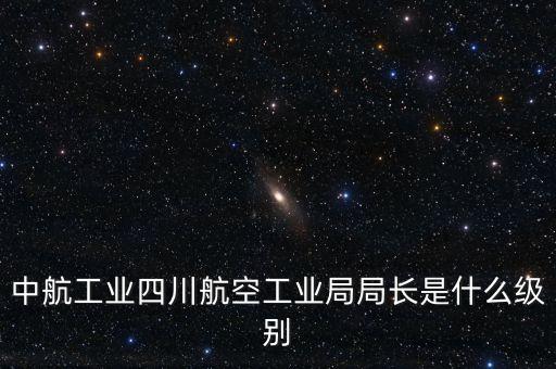 中航王斌什么級別，中航工業(yè)陜飛集團董事長是什么行政級別