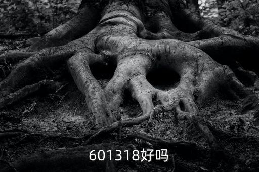 601318是什么股，601318好嗎