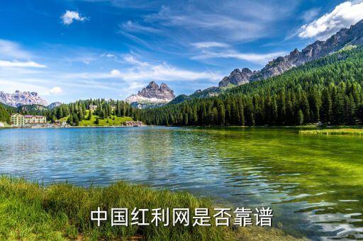 紅利網(wǎng)賣的什么，分紅網(wǎng)是干什么的分紅網(wǎng)靠不靠譜