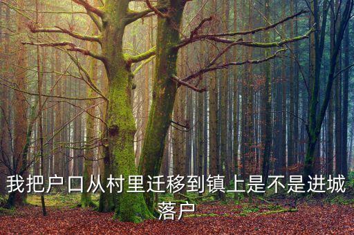 進城落戶是什么意思，進城務(wù)工人員隨遷子女是什么意思
