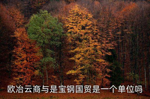 歐冶金融是什么企業(yè)，鋼鐵電商歐冶云商域名是寶鋼化還是有玄機(jī)