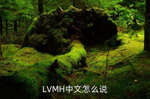 LVMH和LV是什么關(guān)系啊，LVMH是全球五百強嗎