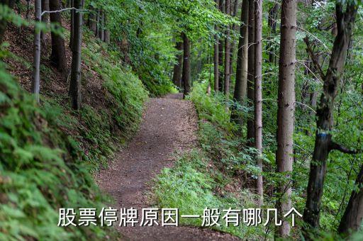 上工申貝為什么停牌，上工申貝出現缺口巨大后市如何