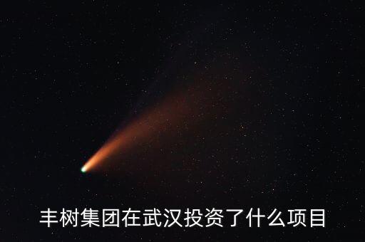 豐樹集團(tuán)開(kāi)發(fā)的項(xiàng)目是什么，豐樹集團(tuán)在武漢投資了什么項(xiàng)目