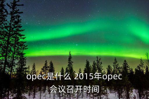 什么是opec會(huì)議，OPEC石油會(huì)議是什么時(shí)候召開啊石油價(jià)格會(huì)受影響嗎