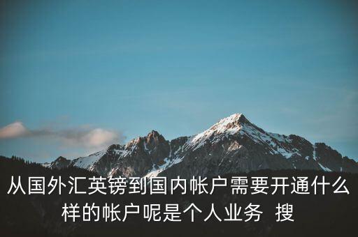 從國外匯英鎊到國內帳戶需要開通什么樣的帳戶呢是個人業(yè)務  搜
