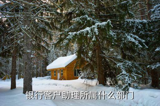 律所在銀行屬于什么客戶，銀行客戶助理所屬什么部門(mén)