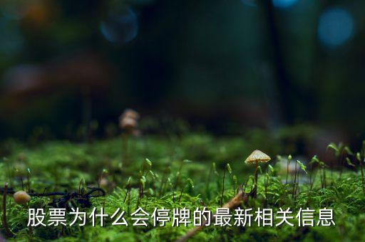 002437為什么停牌，股票為什么停牌