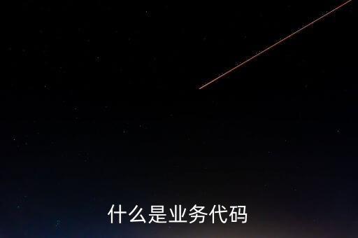 工商業(yè)務代碼是什么意思，businesscode是啥意思