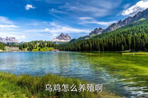 扶溝牧原飼料廠生產(chǎn)什么料，飼料廠 所生產(chǎn)的 產(chǎn)品一般需要哪些原材料