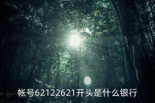 621462開頭是什么銀行，6214開頭是什么銀行