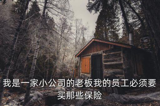 我是一家小公司的老板我的員工必須要買(mǎi)那些保險(xiǎn)