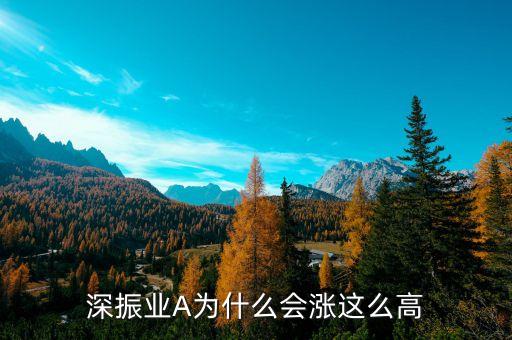 深振業(yè)a你什么股票吖，股票深振業(yè)A今天為什么停牌