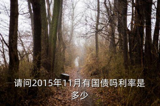 201511月發(fā)行什么國(guó)債，請(qǐng)問(wèn)2015年11月有國(guó)債嗎利率是多少