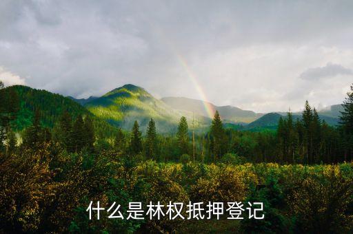 什么是林權抵押登記
