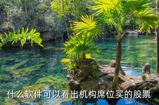 什么軟件可以看到股票是由什么機(jī)構(gòu)買進(jìn)，用什么軟件可以看到買入股票的 機(jī)構(gòu)名稱