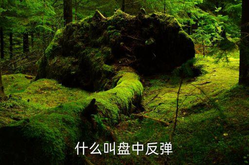 中級反彈空間什么意思，股市里說的有反彈空間 但比較肉 是什么意思