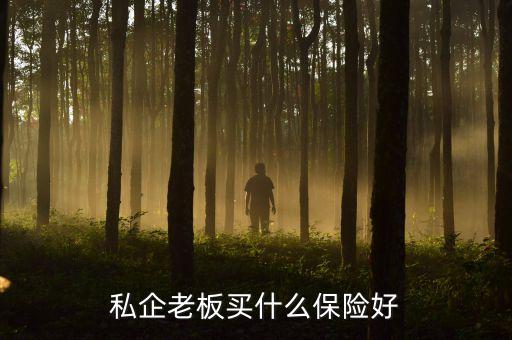 公司老板要什么保險(xiǎn)，我是一家小公司的老板我的員工必須要買那些保險(xiǎn)