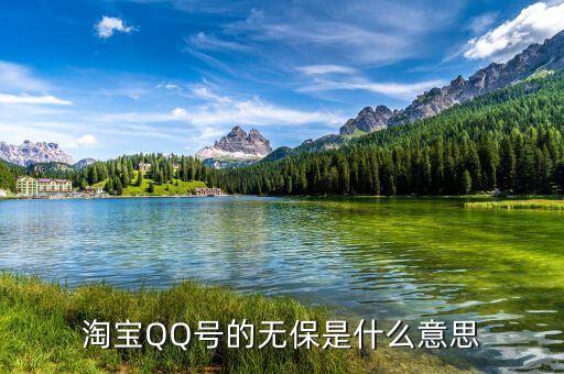 淘寶不保單是什么意思，在淘寶網(wǎng)的的QQ無保是什么意思啊