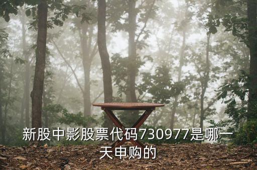 中影申購(gòu)什么時(shí)候上市，中影申購(gòu)中簽后什么時(shí)候可以賣買