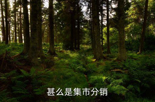 集采分銷是什么，什么是集中分銷