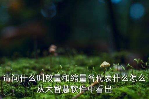 什么是放量和縮量圖片，請(qǐng)問什么叫放量和縮量各代表什么怎么從大智慧軟件中看出