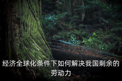 發(fā)達(dá)國家為什么要援助發(fā)展中國家，經(jīng)濟(jì)全球化條件下如何解決我國剩余的勞動力