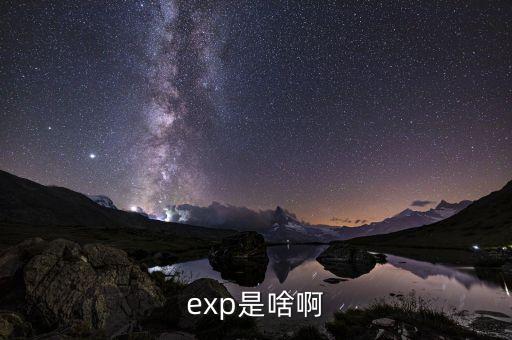 expd是什么意思，exp是啥啊