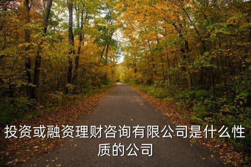 金融理財(cái)有限公司是什么性質(zhì)的，投資或融資理財(cái)咨詢有限公司是什么性質(zhì)的公司