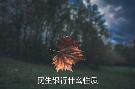 民生銀行是什么性質(zhì)，民生銀行屬于什么性質(zhì)