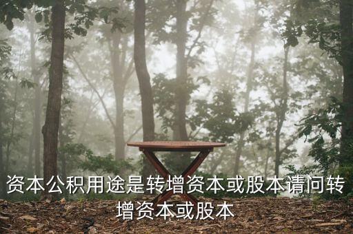 什么叫用資本公積轉增資本，資本公積金轉增資本金是什么意思
