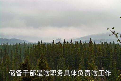 儲備干部是啥職務(wù)具體負責啥工作
