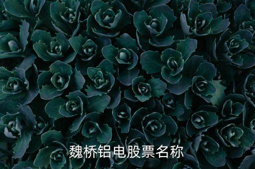 宏橋跟魏橋什么關系，宏橋中學怎么退學費