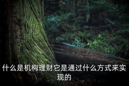 什么是機構(gòu)理財，什么是第三方的理財機構(gòu)