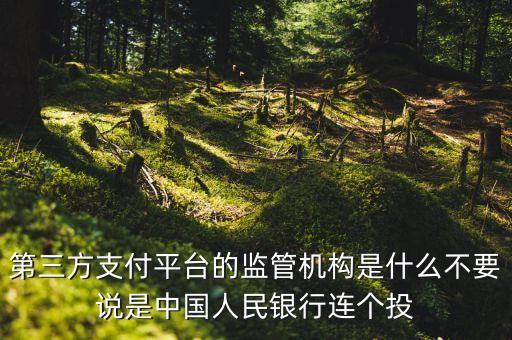 第三方支付平臺由什么機構授權，第三方支付平臺的監(jiān)管機構是什么不要說是中國人民銀行連個投