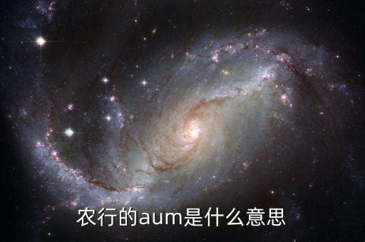 農(nóng)行的aum是什么意思