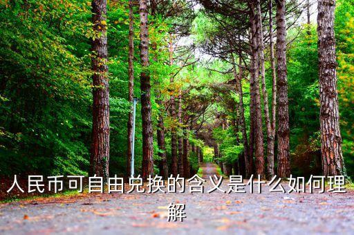 資本項目可兌換是什么意思，為什么說只有實現(xiàn)了資本項目下的貨幣兌換該國貨幣才能被稱為可