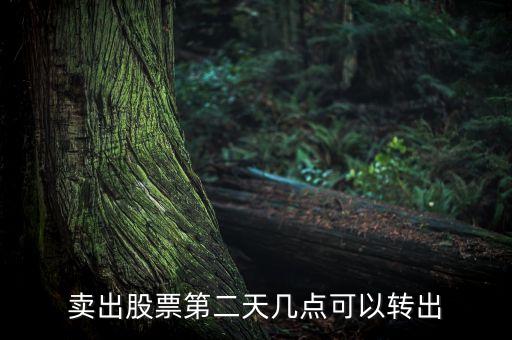 股票賣了錢什么時候可以轉(zhuǎn)出，股票成功賣出后多長時間可以從帳戶轉(zhuǎn)出資金