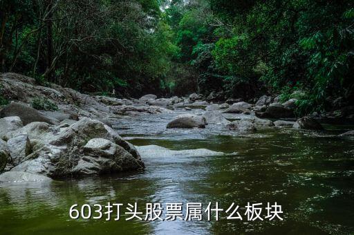 601608屬于什么板塊，600618屬于什么板塊