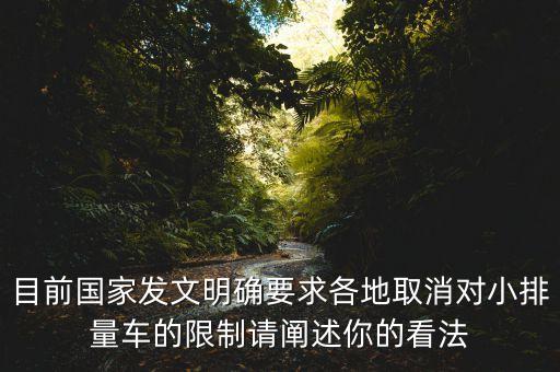 目前國(guó)家發(fā)文明確要求各地取消對(duì)小排量車(chē)的限制請(qǐng)闡述你的看法