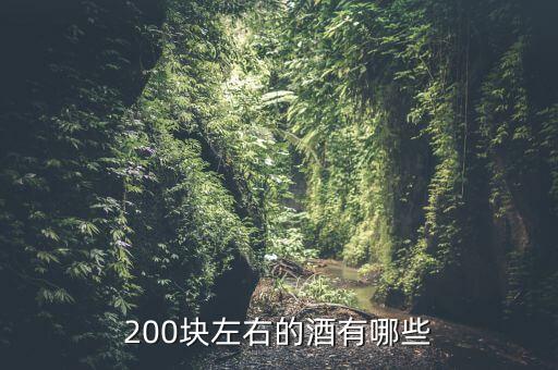 2百以下白酒有什么酒，200塊左右的酒有哪些