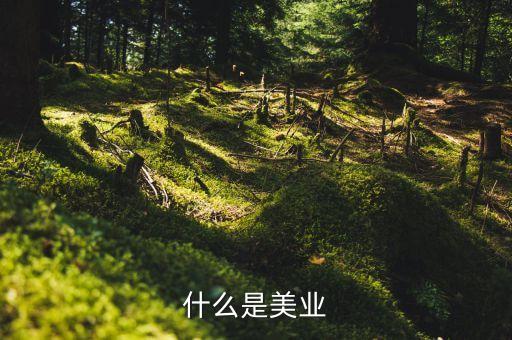美業(yè)集團(tuán)是什么行業(yè)，什么是美業(yè)