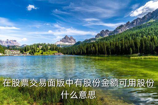 可用股票是什么意思，在股票交易面版中有股份金額可用股份什么意思
